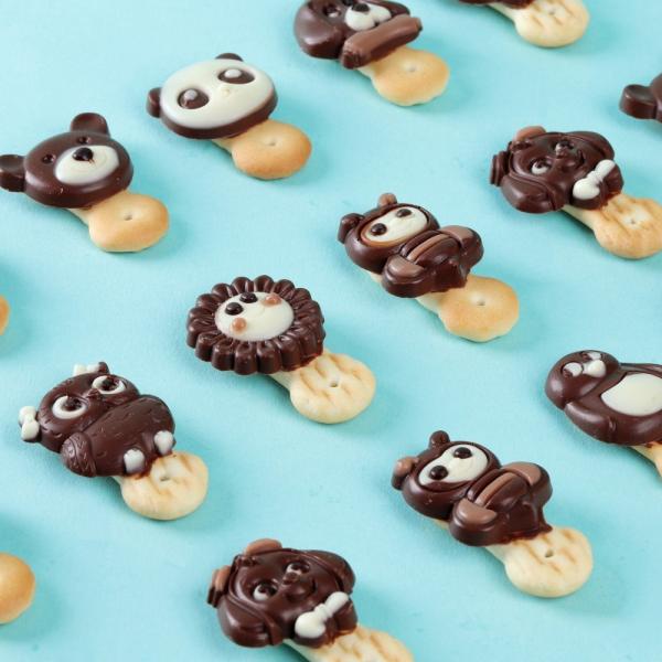 Biscuit Chocolate Moulding Line
